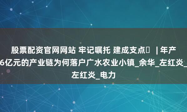 股票配资官网网站 牢记嘱托 建成支点⑰ | 年产值5.6亿元的产业链为何落户广水农业小镇_余华_左红炎_电力
